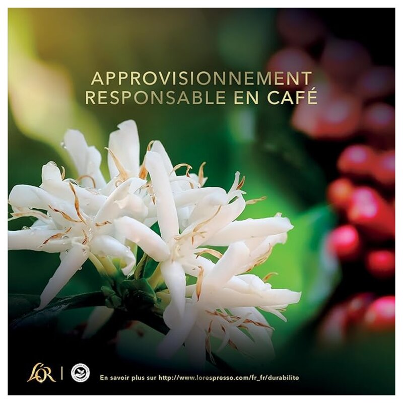 L'Or Espresso Ristretto Capsule Café - Intensité 11 - Compatible Nespresso - 30 Capsules