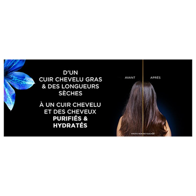 Garnier Ultra Doux Masque Remède Équilibrant Charbon Magnétique & Huile de Fleur de Nigelle - Cheveux Normaux à Gras - 340ml