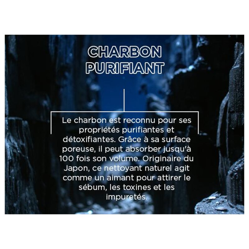 Garnier Ultra Doux Masque Remède Équilibrant Charbon Magnétique & Huile de Fleur de Nigelle - Cheveux Normaux à Gras - 340ml