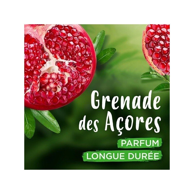 Ushuaia la Recherche Roll-On Deodorant Anti-Perspirant - 48h Protection - 50ml - Pomegranate From Azores