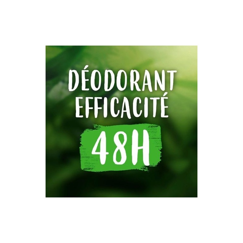 Ushuaia Déodorant Bille à la Grenade - Protection 48h - 50ml