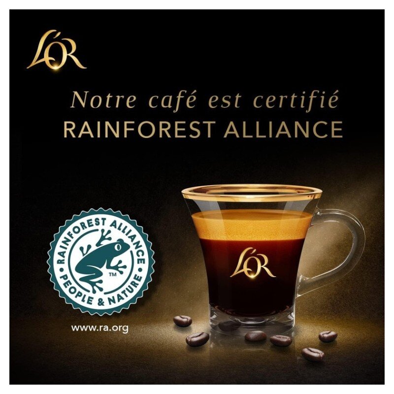 L'Or Absolu Café en Grains 100% Arabica - 1kg