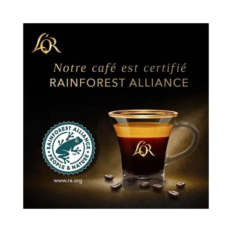 L'Or Xxl Extra Long Capsules Café - Intensité 8 - Compatible Barista - X10