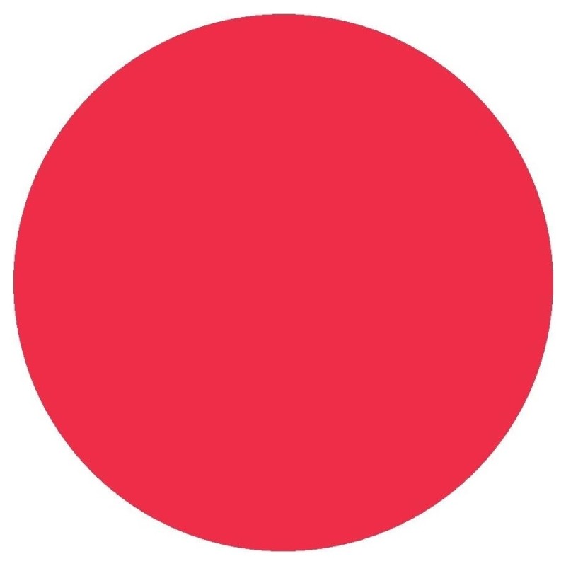 L'Oréal Paris Infallible Baume à Lèvres Coloré - Never Stop 204