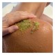 Avocado Sugar Body Scrub - 600g