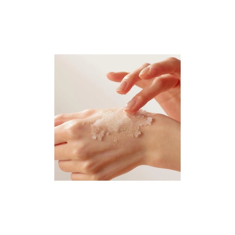 Avocado Sugar Body Scrub - 600g