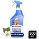 Mr. Propre Spray Désinfectant et Nettoyant pour Salle de Bains - Fleurs Blanches - 800ml