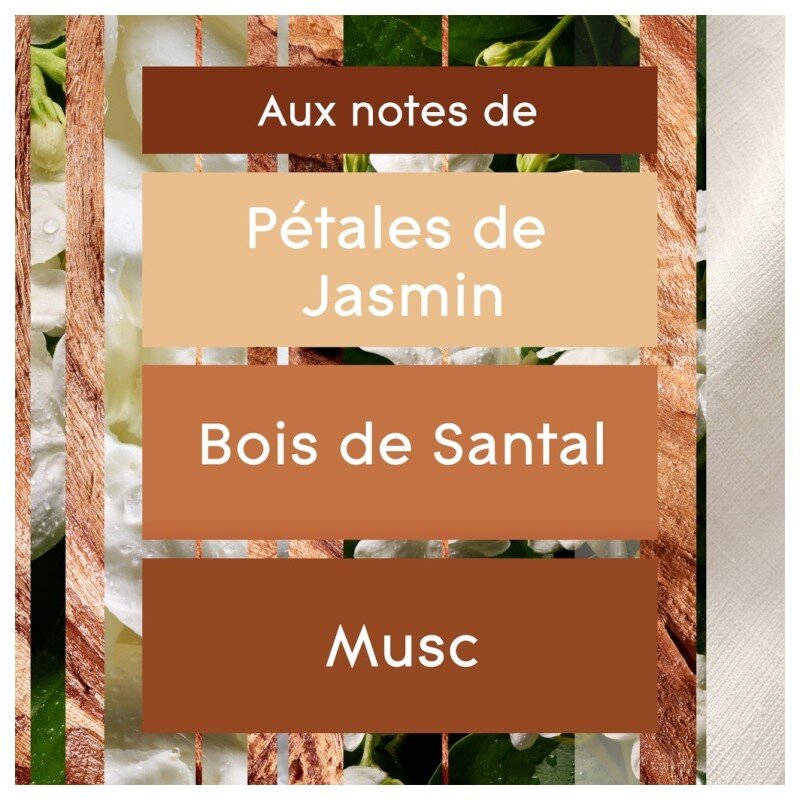 Glade Sense & Spray Recharge Diffuseur Automatique - Bois de Santal et Jasmin - 2x8ml