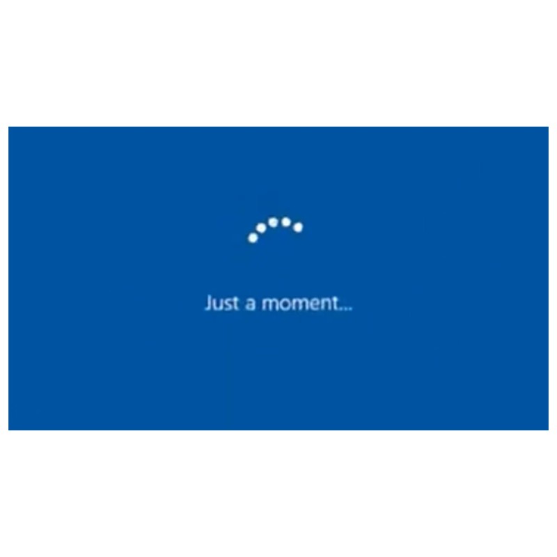 Canard Fresh Disc Bloc Wc - Tropical Adventure - X6