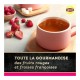 Lipton Thé Noir Fruits Rouges - Fraise de France - 20 Sachets