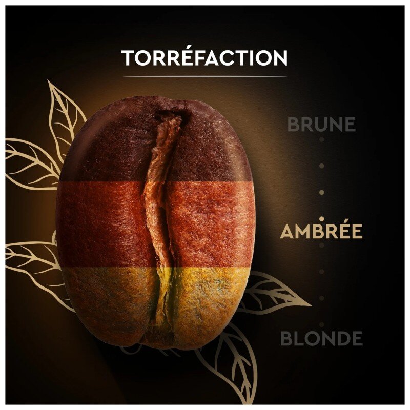 Carte Noire Classique Café en Grains 100% Arabica - Intensité 7 - 2x1kg