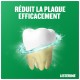 Listerine Bain de Bouche Dents et Gencives Fraîcheur Menthe 10en1 - 500ml