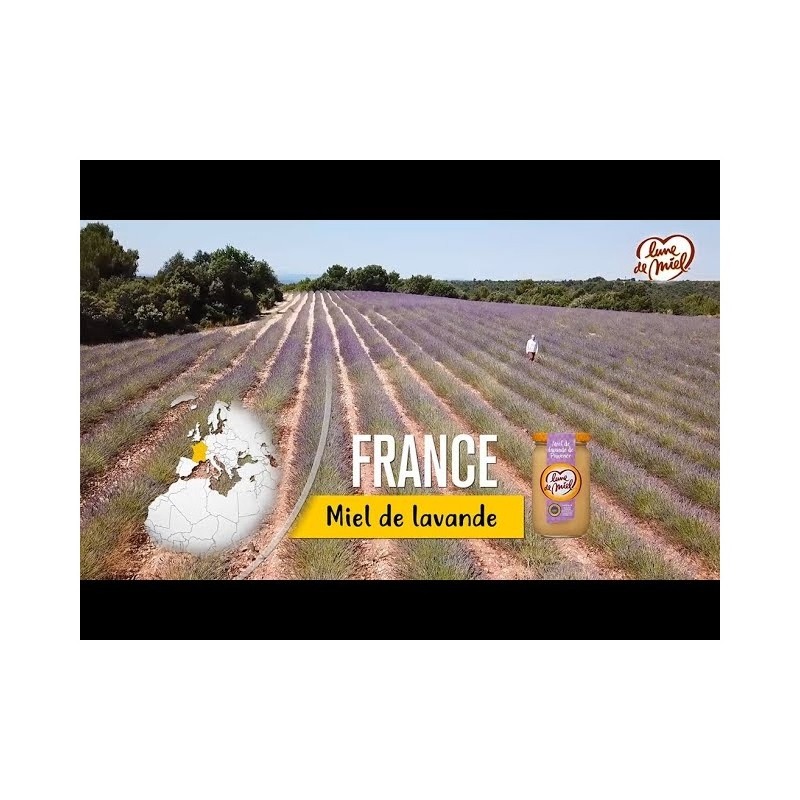 Lune de Miel Miel de Lavande Crémeux de Provence - 375g