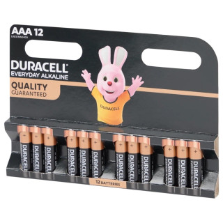 Duracell Piles Alcalines Aaa - Lot de 12