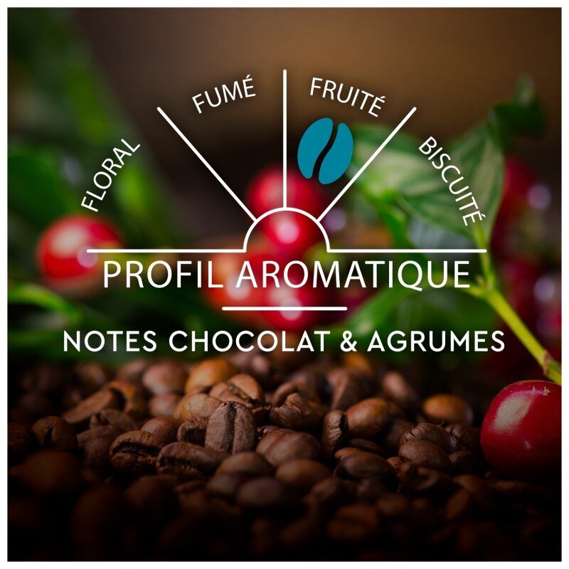 Carte Noire Capsules Espresso Classique Intensité 7 - Compatible Nespresso - 80 Capsules