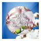 Air Wick Active Fresh 24h/24 Recharge Désodorisant Automatique Sans Gaz - Douceur de Coton & Orchidée - 228ml