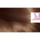 L'Oréal Paris Excellence Crème Permanent Hair Color - Golden Light Brown 53 - 1 Box
