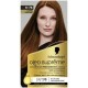 Schwarzkopf Oléo Suprême Coloration Permanente Sans Ammoniaque - Cuivré Profond 6-76