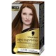 Schwarzkopf Oléo Suprême Permanent Hair Color Without Ammonia - Deep Coppery 6-76