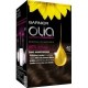 Garnier Olia Ammonia-Free Permanent Hair Dye - Hair - 1x Box - Pure Chestnut 4.0