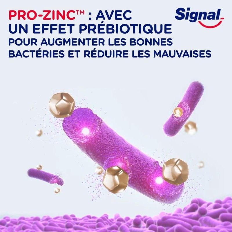 Signal Integral 8 Dentifrice - Haleine Fraîche - Effet Prébiotique - Protection Complète - 75ml