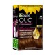 Garnier Olia Coloration Permanente Cheveux Sans Ammoniaque - 5.3 Châtain Clair Doré