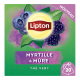 Lipton Thé Vert Myrtille Mûre - Boîte de 20 Sachets