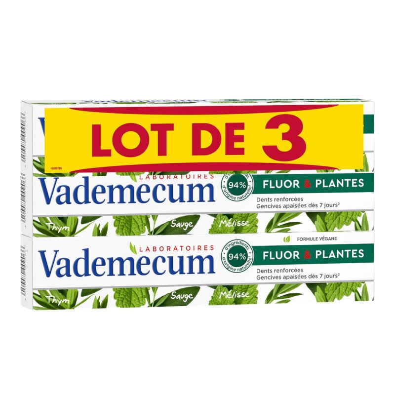 Vademecum Fluor & Plantes معجون أسنان - للثة الحساسة - 3x75مل