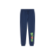 Minecraft kids' Fleece Pants - 10-12 Years - Blue