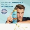 Head & Shoulders Dermaxpro Shampoing Antipelliculaire Expert + Après-Shampoing Revitalisant - Cuir Chevelu Sec - 225ml + 200ml